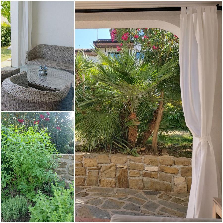Apartament Salt & Sage *